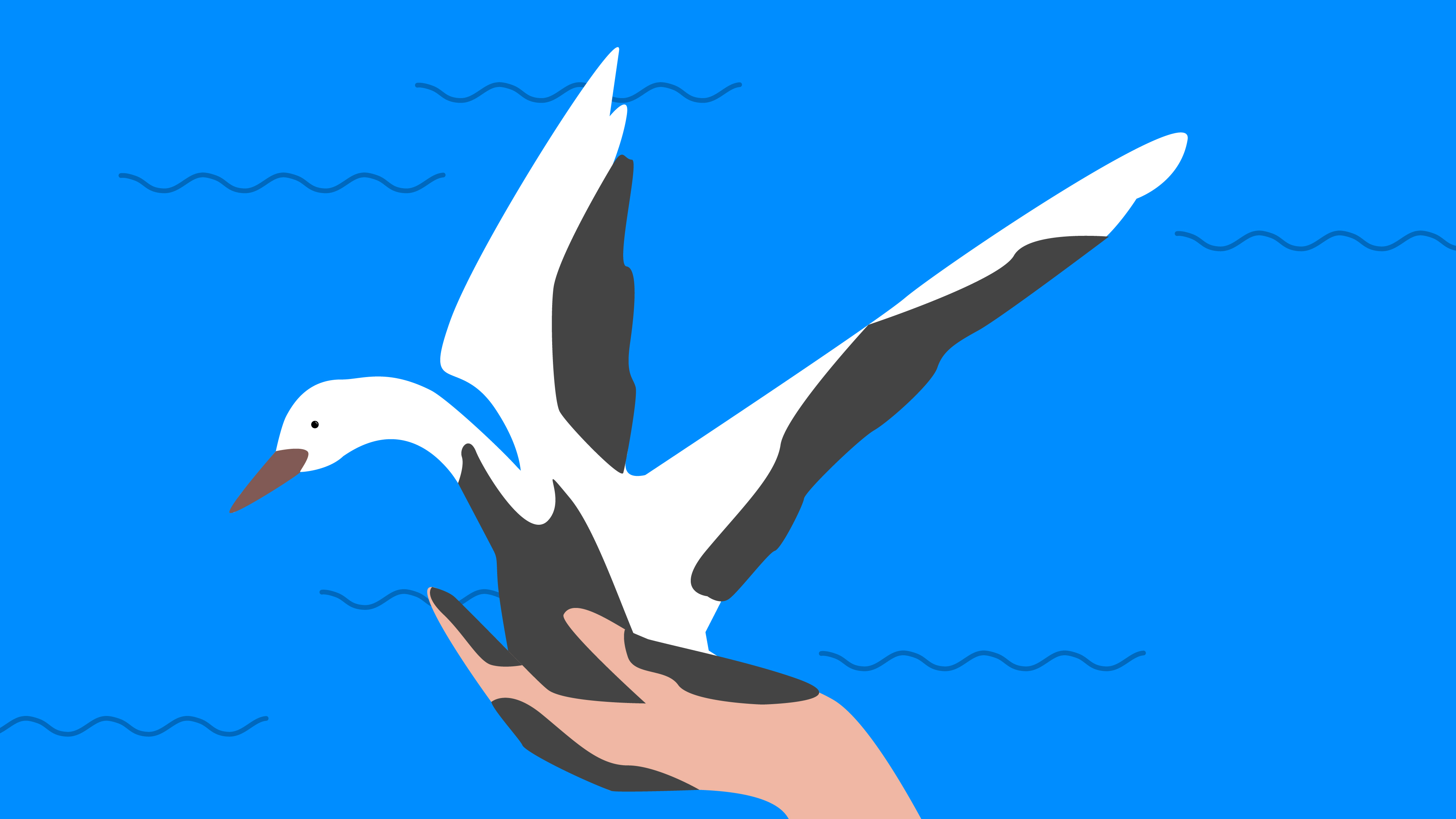 Спасаем наше море