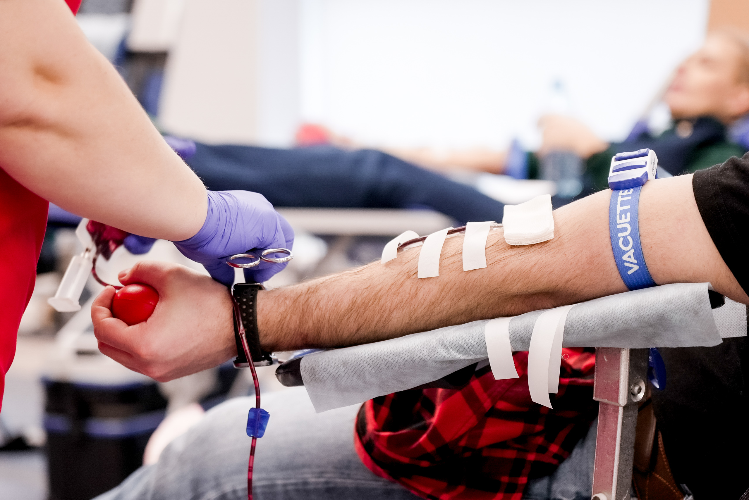 билайн стал одним из лидеров по развитию донорского движения в России