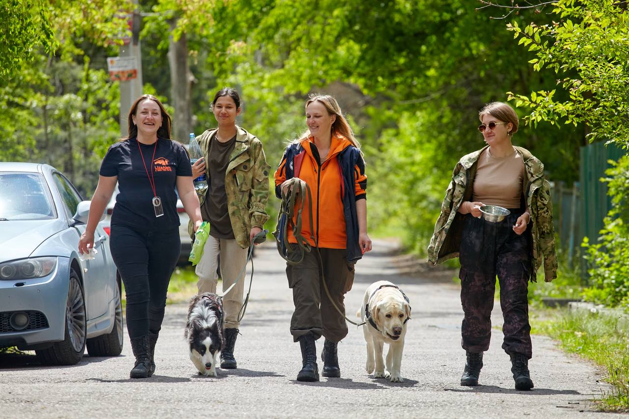 Билайн в Орловской области помогает искать потерявшихся людей с помощью новых технологий