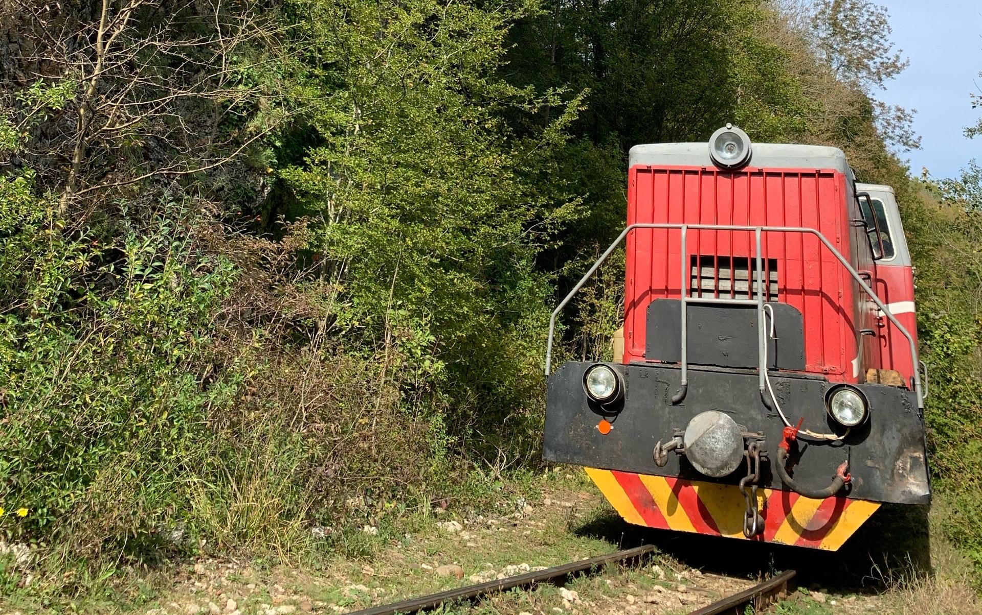 4G- Экспресс: Билайн обеспечил связью уникальную горную узкоколейку 