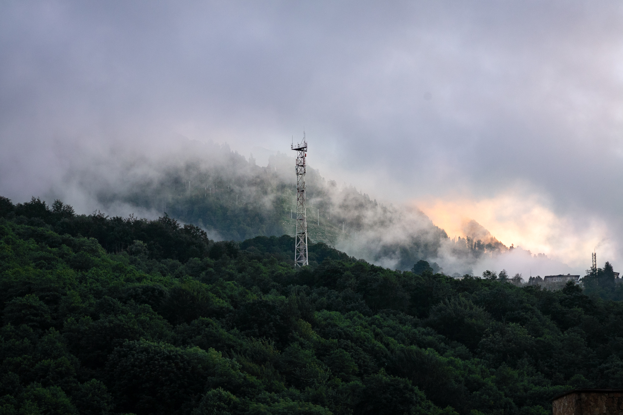Жители Ставрополья стали больше пользоваться мобильным интернетом