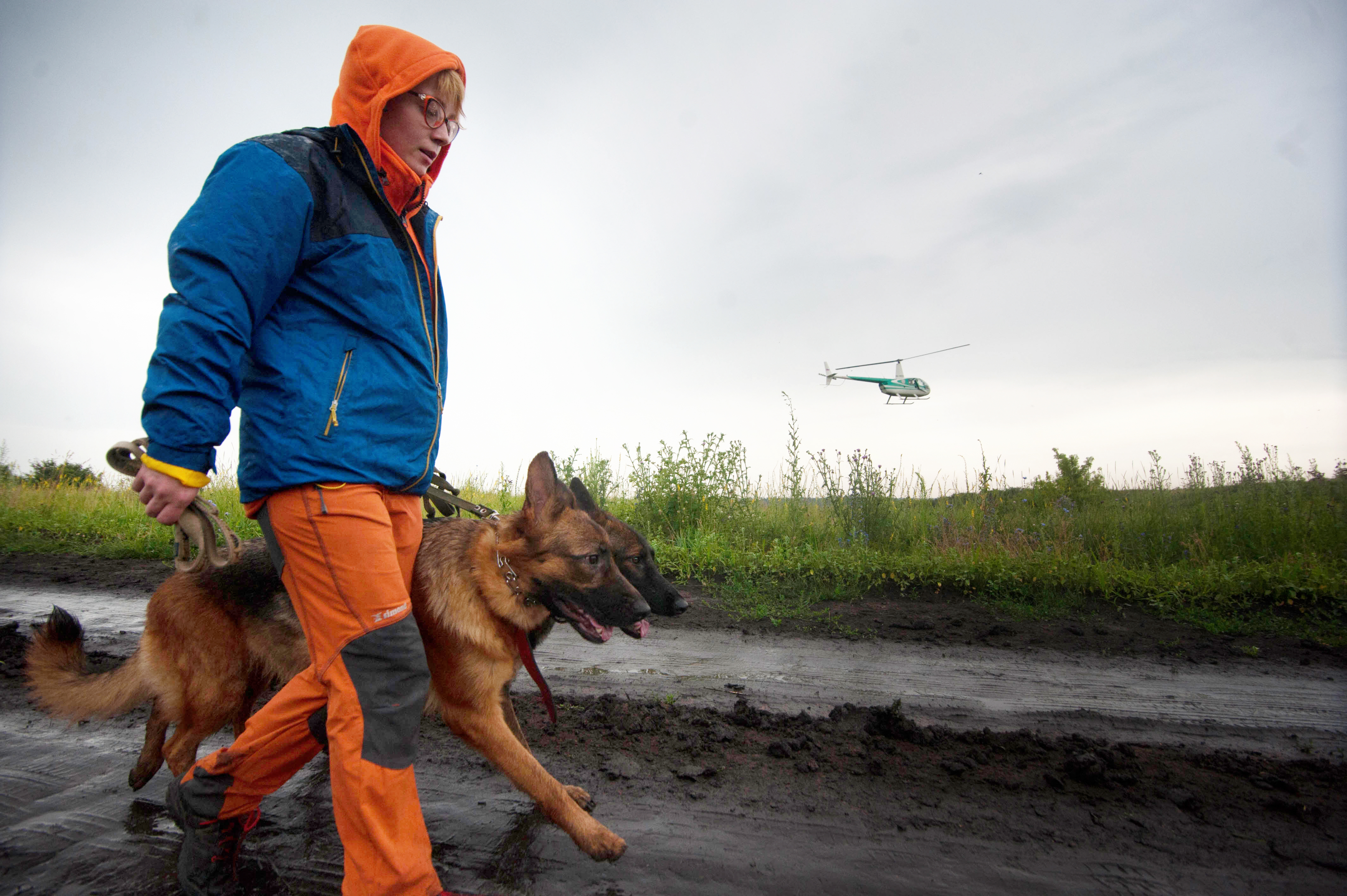Билайн станет партнёром VI Всероссийских открытых волонтёрских соревнований среди поисковых кинологических расчётов
