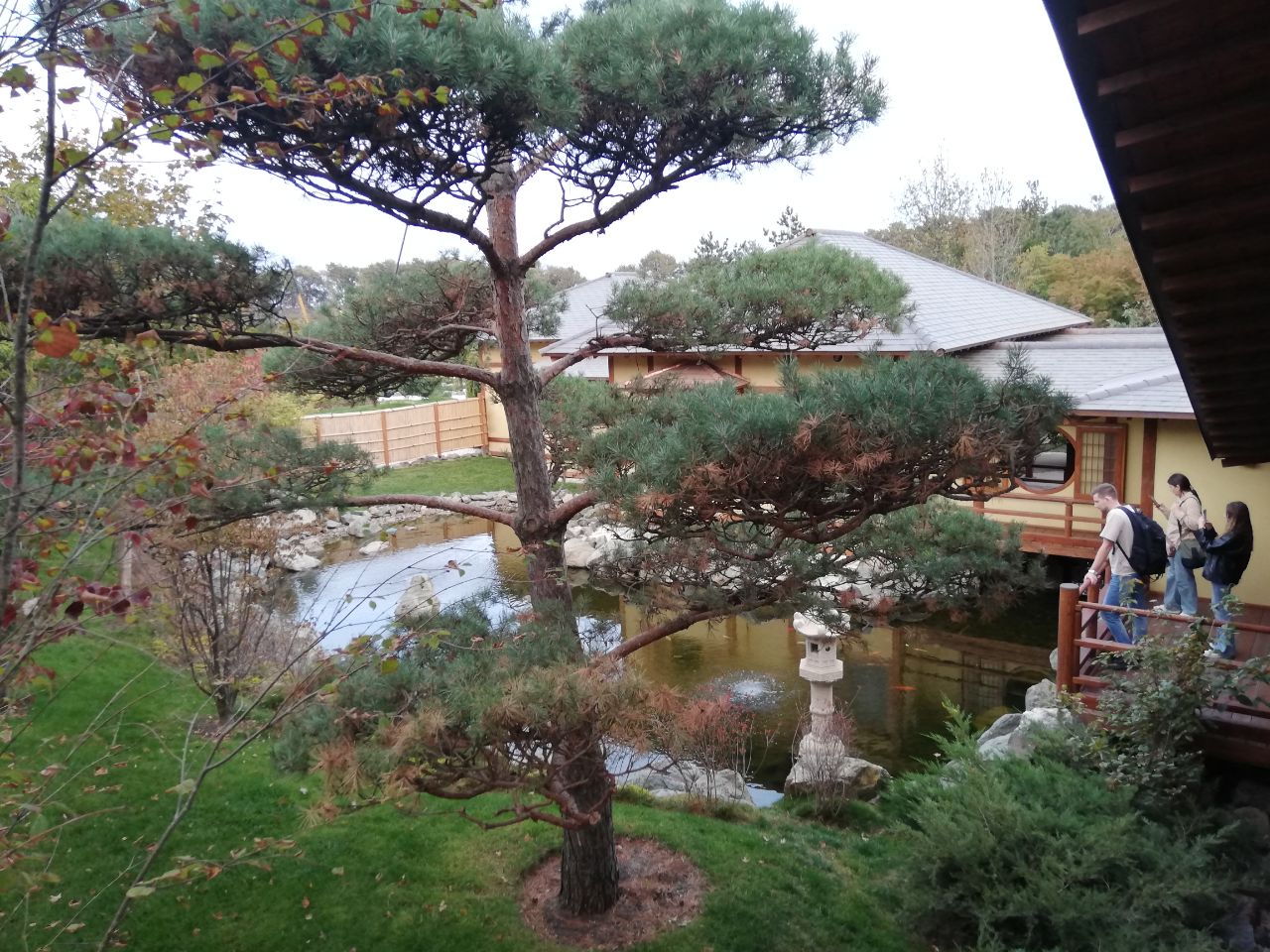 Посетители парка «Краснодар» стали больше пользоваться мобильным интернетом после открытия Японского сада