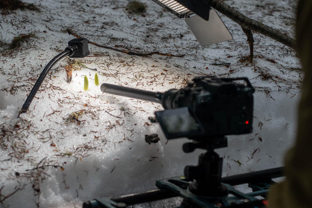 _Forest_Lesfilm_OnSet_16.JPG