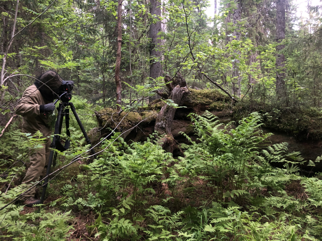 _Forest_Lesfilm_OnSet_5.jpeg