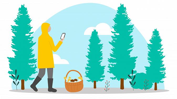 Как собраться в лес, чтобы благополучно вернуться: 10 простых правил от «ЛизаАлерт» и Билайна